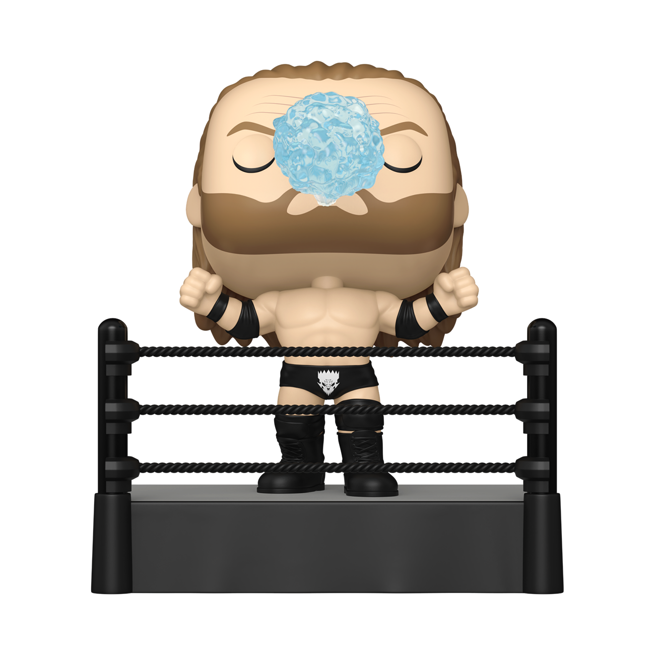 Funko POP! WWE: Triple H Ring Entrance 192
